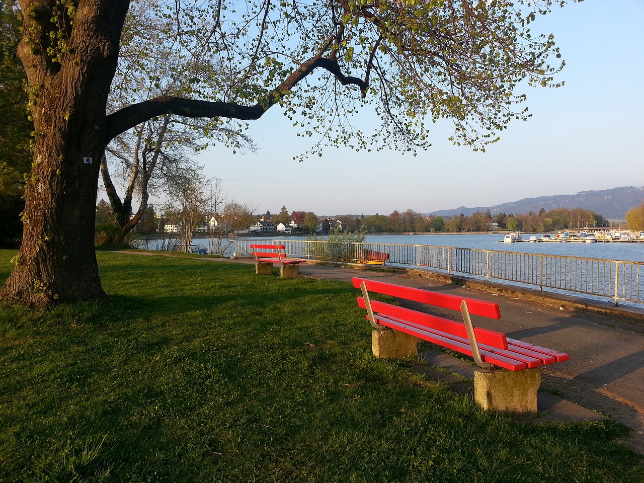 拉莫斯：郑州这座城市很不错，中国人比沙特人更热情更好融入