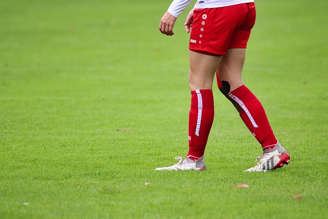 山东泰山今天下午在基地举行球迷开放日，一百多名球迷到场