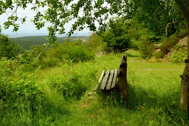 非一蹴而就 非一蹴而就