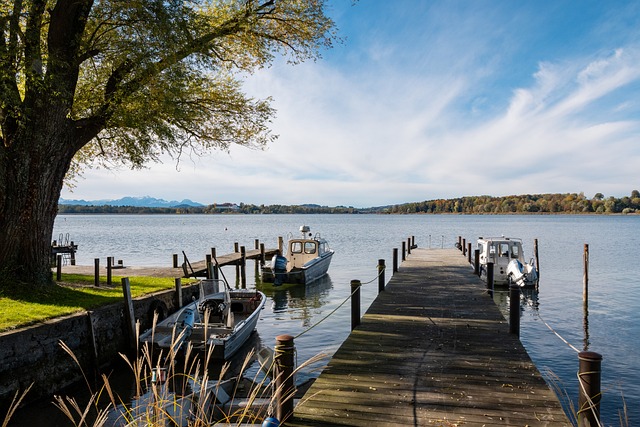 乓球选手 乓球选手