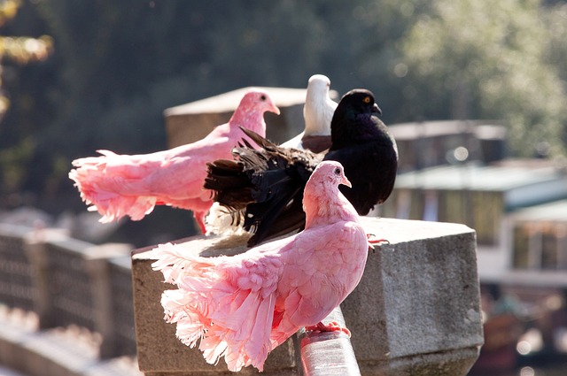这一句话的 这一句话的